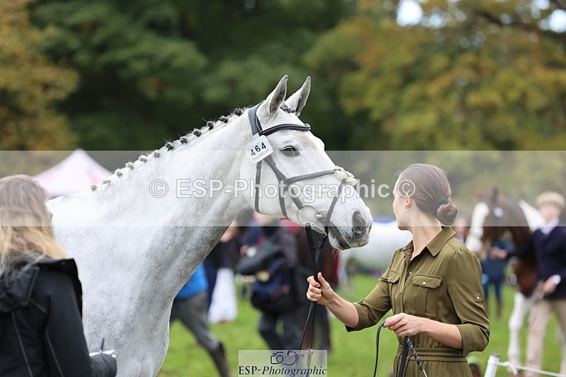 251026A-110724-25241 - F-464-Sophie.Aldrich