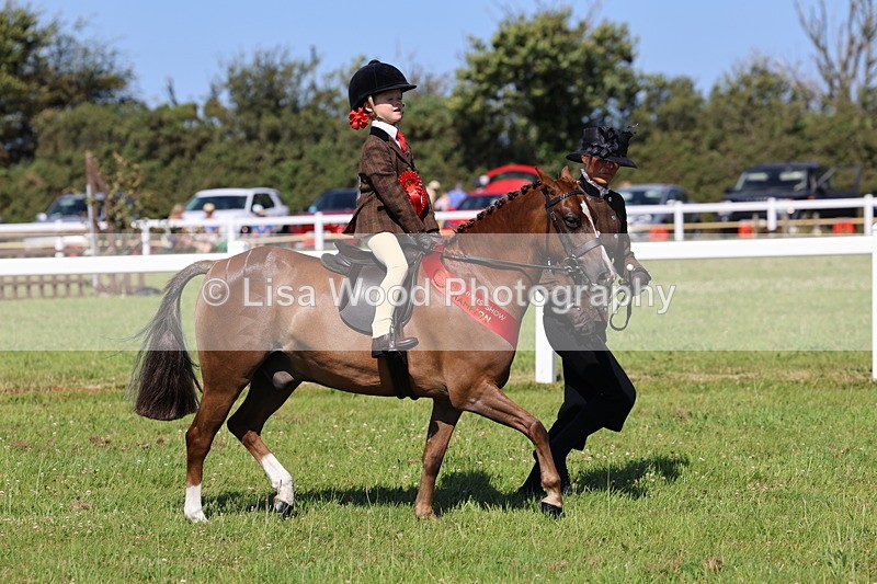 IMG_1868 - Plaited Mini Ridden Championship