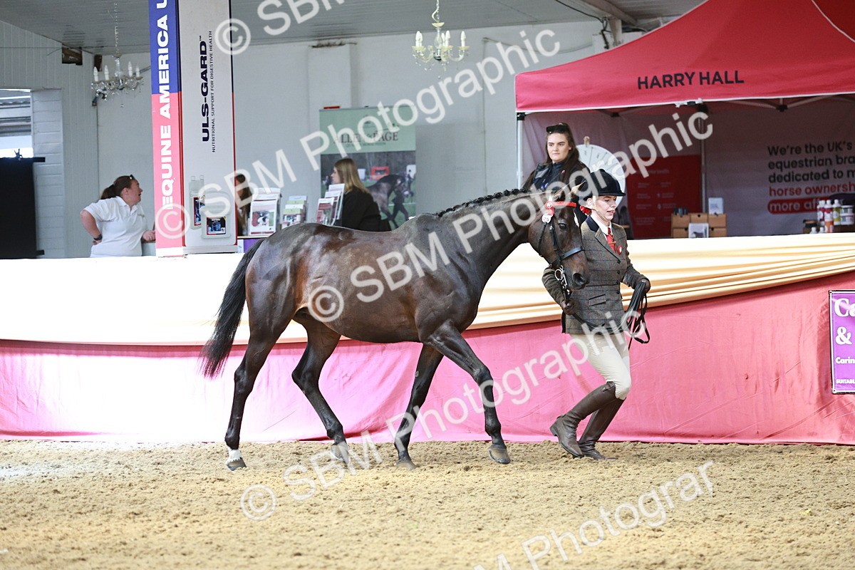 SBM_04730 - Class 7R - Regional IH Diamond