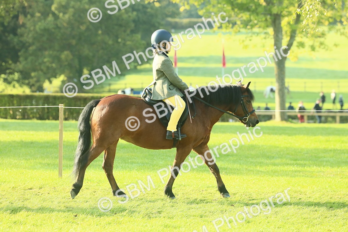 SBM_59124 - S38 - Starters Ridden Showing