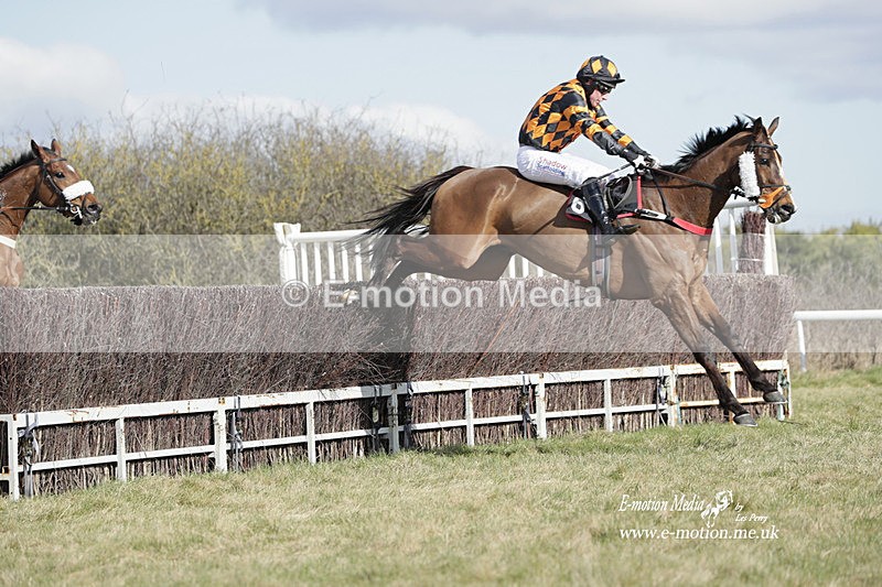 PtP 260223 454 - South & West Wilts Point-to-Point Larkhill 26/02/23