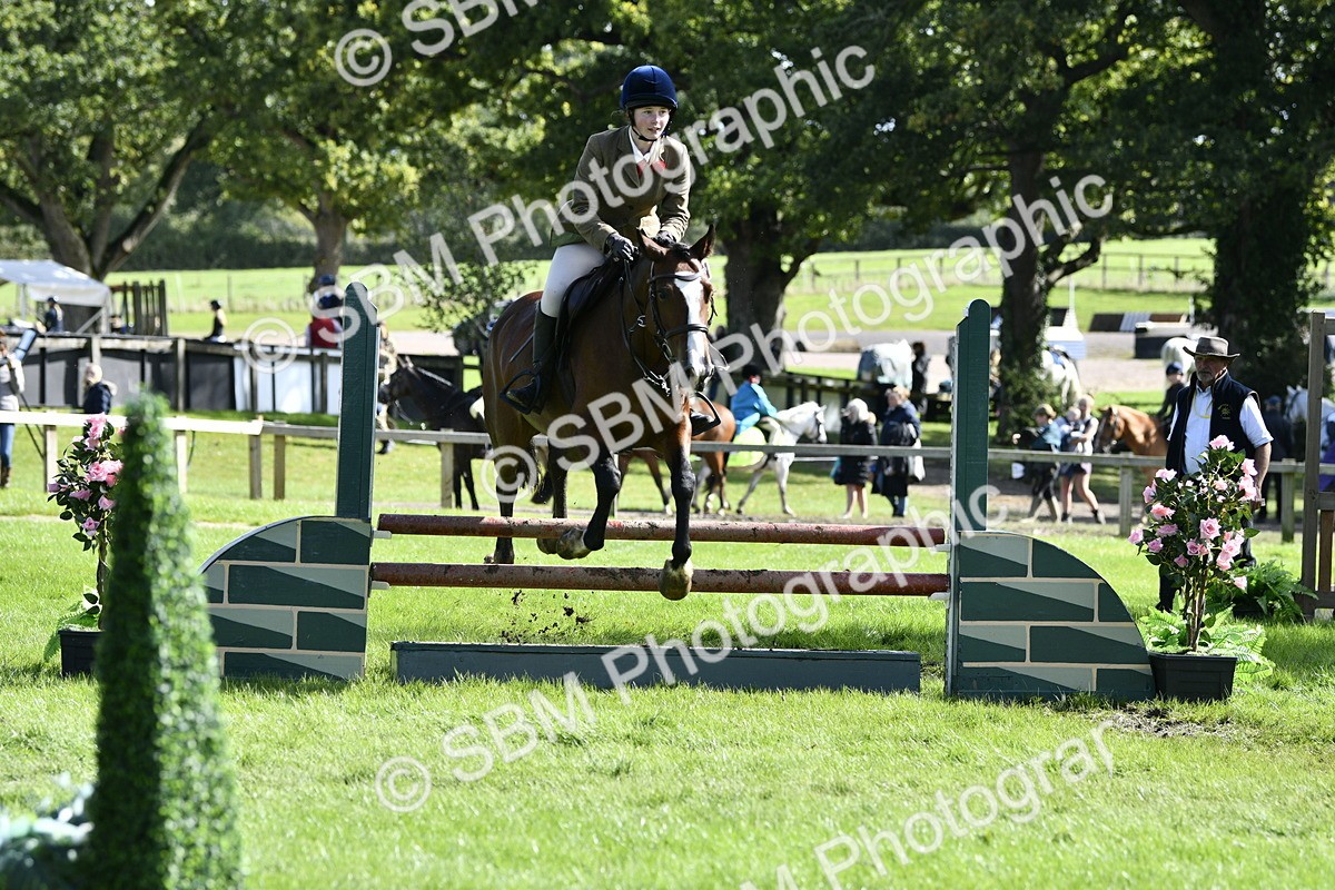 SBM_45733 - S33 - Working Hunter Pony