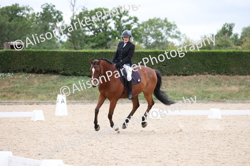 20250705-0657 - Class 7 - Elimentary 1