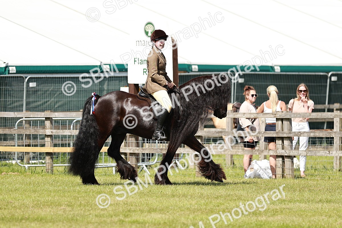 SBM_07115 - Class 26-30 - Mountain and Moorland Ridden