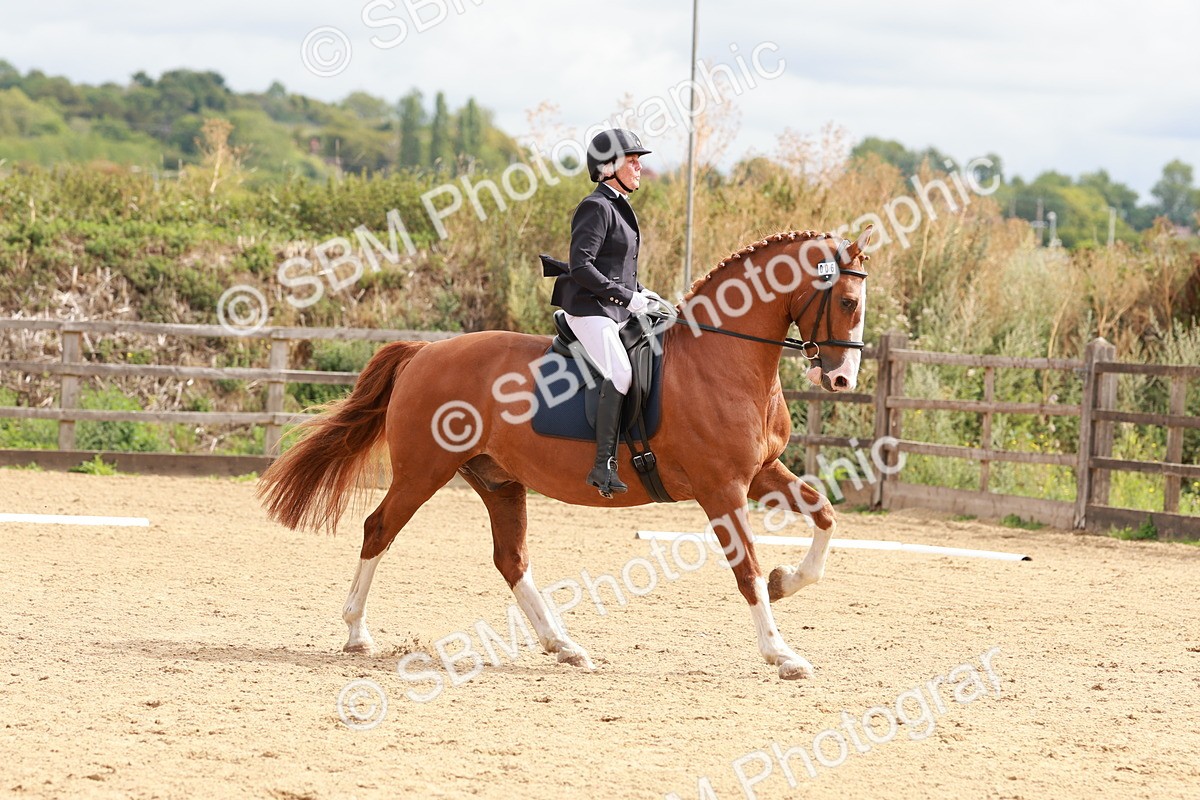 SBM_001345 - Prelim 2