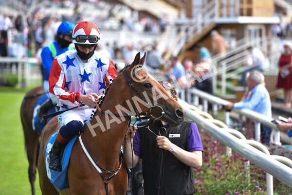 yr09072021r3-11 - Race 3 3.15pm William Hill Pick Your Places Irish EBF Novice Stakes