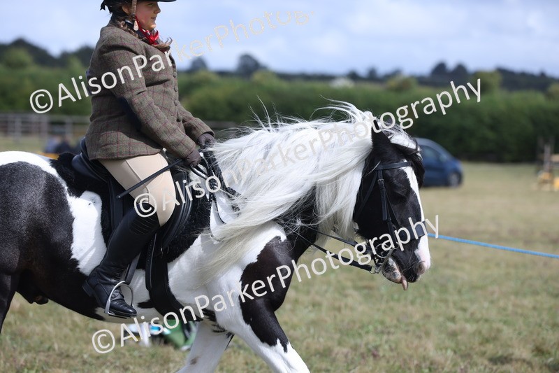 20250831-4197 - Class 20 - Ridden Coloured