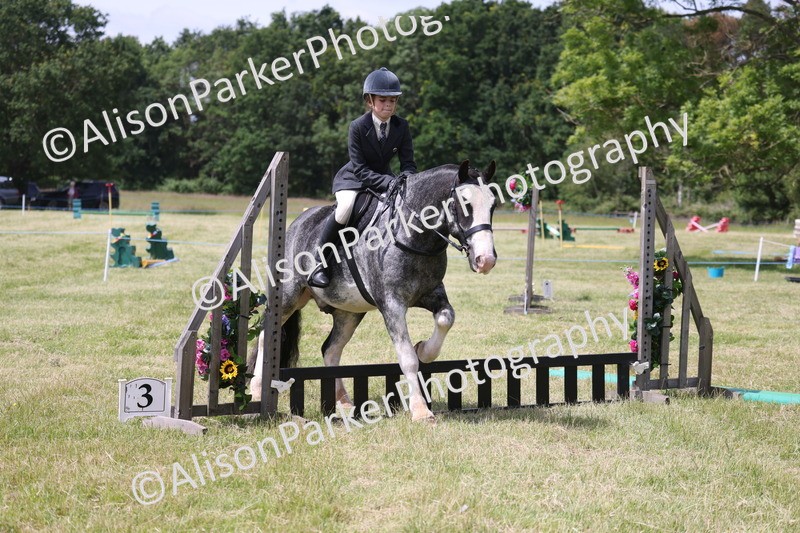 20260614-1965 - Class 21 - Novice Working Hunter Pony