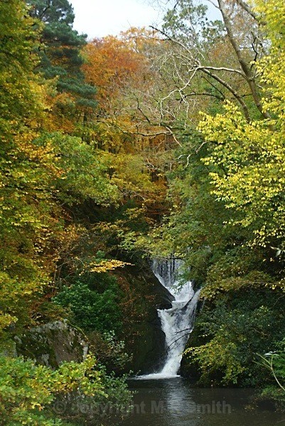 Autumn Waterfall In North Wales - LANDSCAPES & TREES