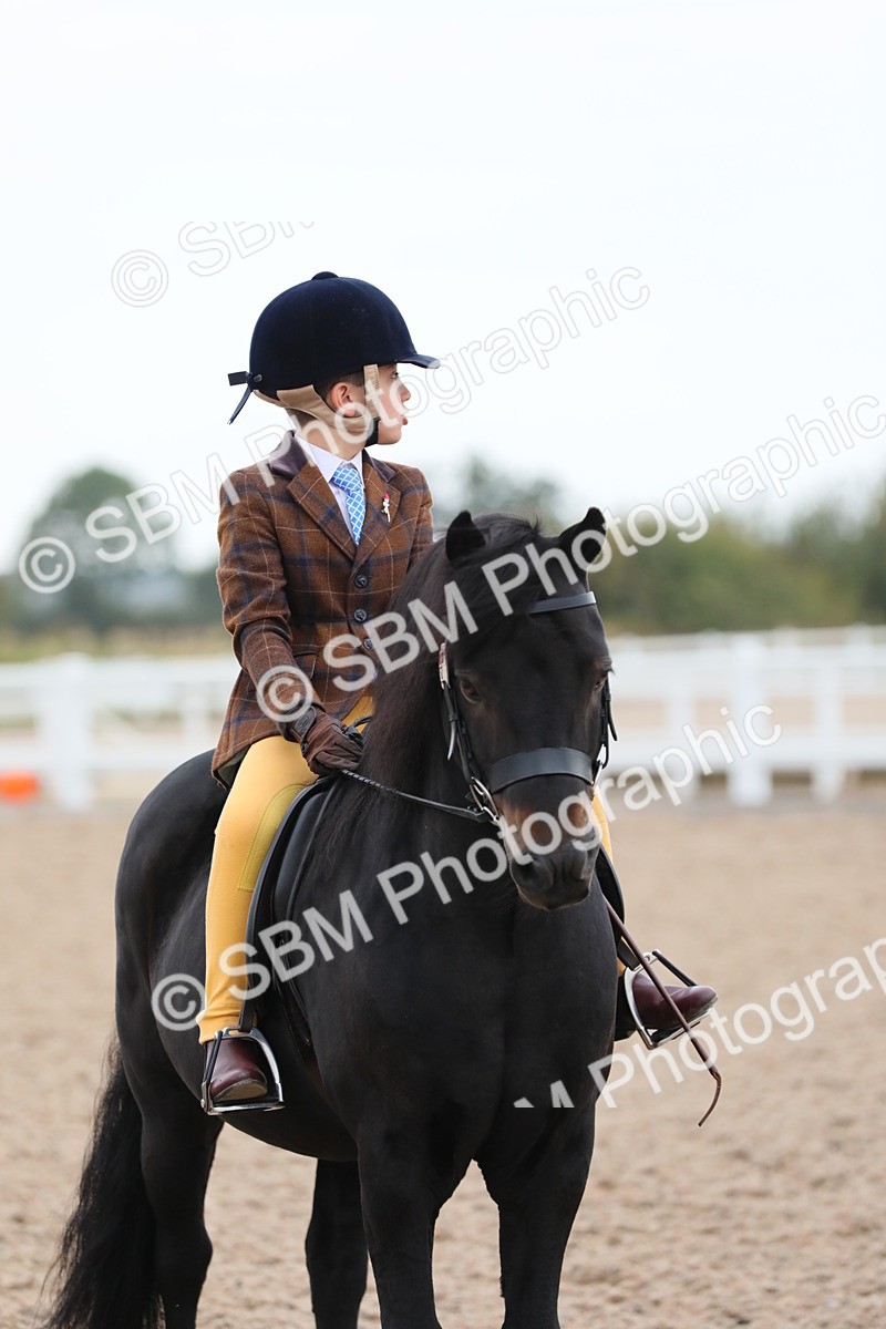 SBM_18193 - Class 316 Best Pony/Rider Combination