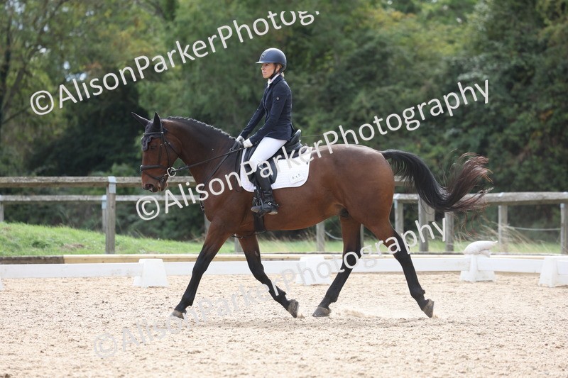 20260923-0438 - Class 7 - Novice 2
