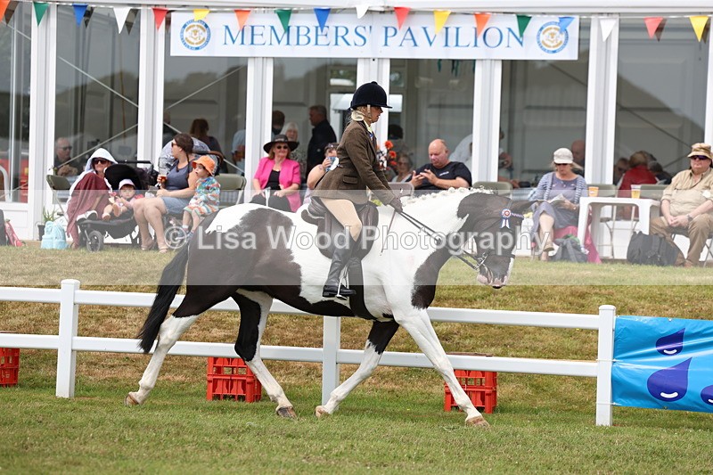 3E7A0835 - Class 8: Open Riding Horse/Hack