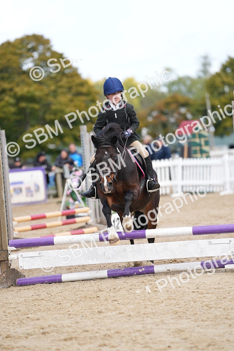 SBM_21338 - J49 - Open 50cm