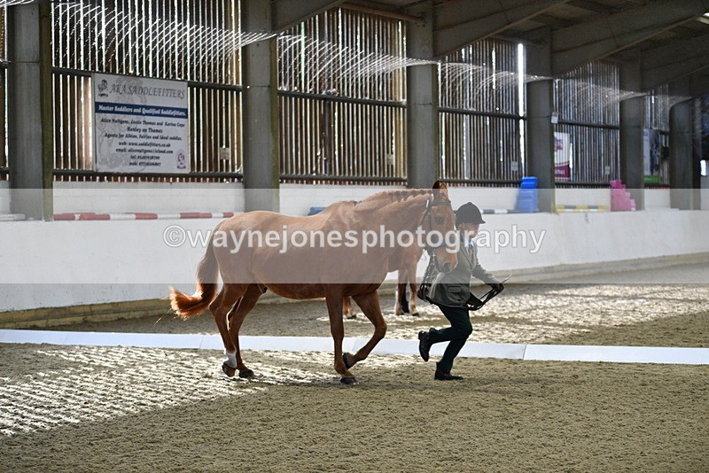 WJ5_3621 - Class 5 In Hand Veterans