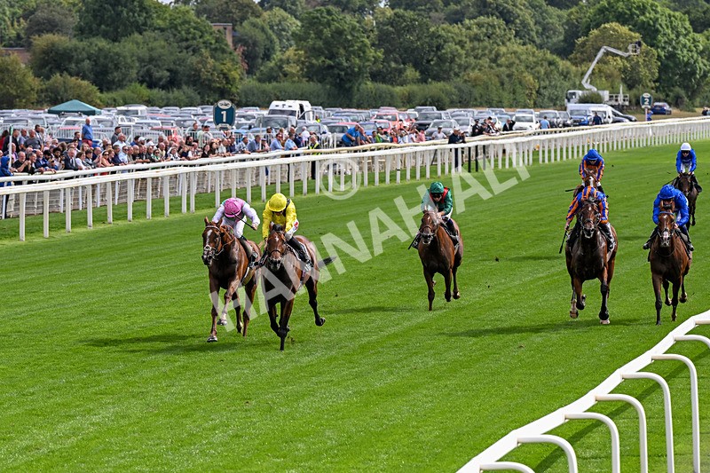 190826-Race 4-Item-0441 - Race 4 15.35pm Juddmonte International Stakes