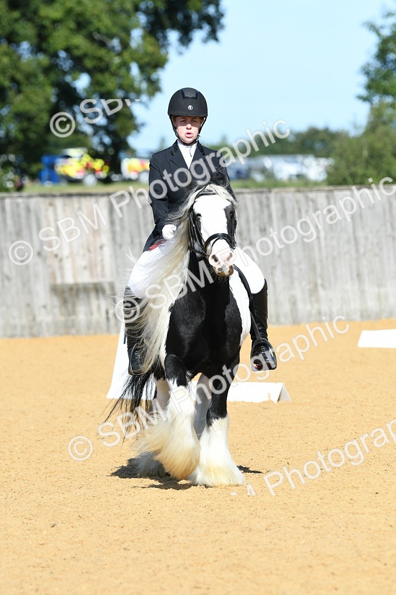 SBM_18081 - D4 - Small Tour Championship - Intro B