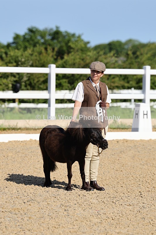 1X9A0692 - Class 3: Youngstock 1, 2, 3 year old not to exceed 153cm