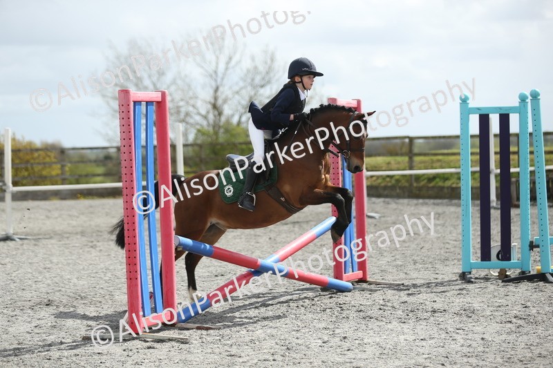 20260412-0753 - Show Jumping
