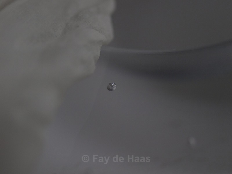  - Dreaming