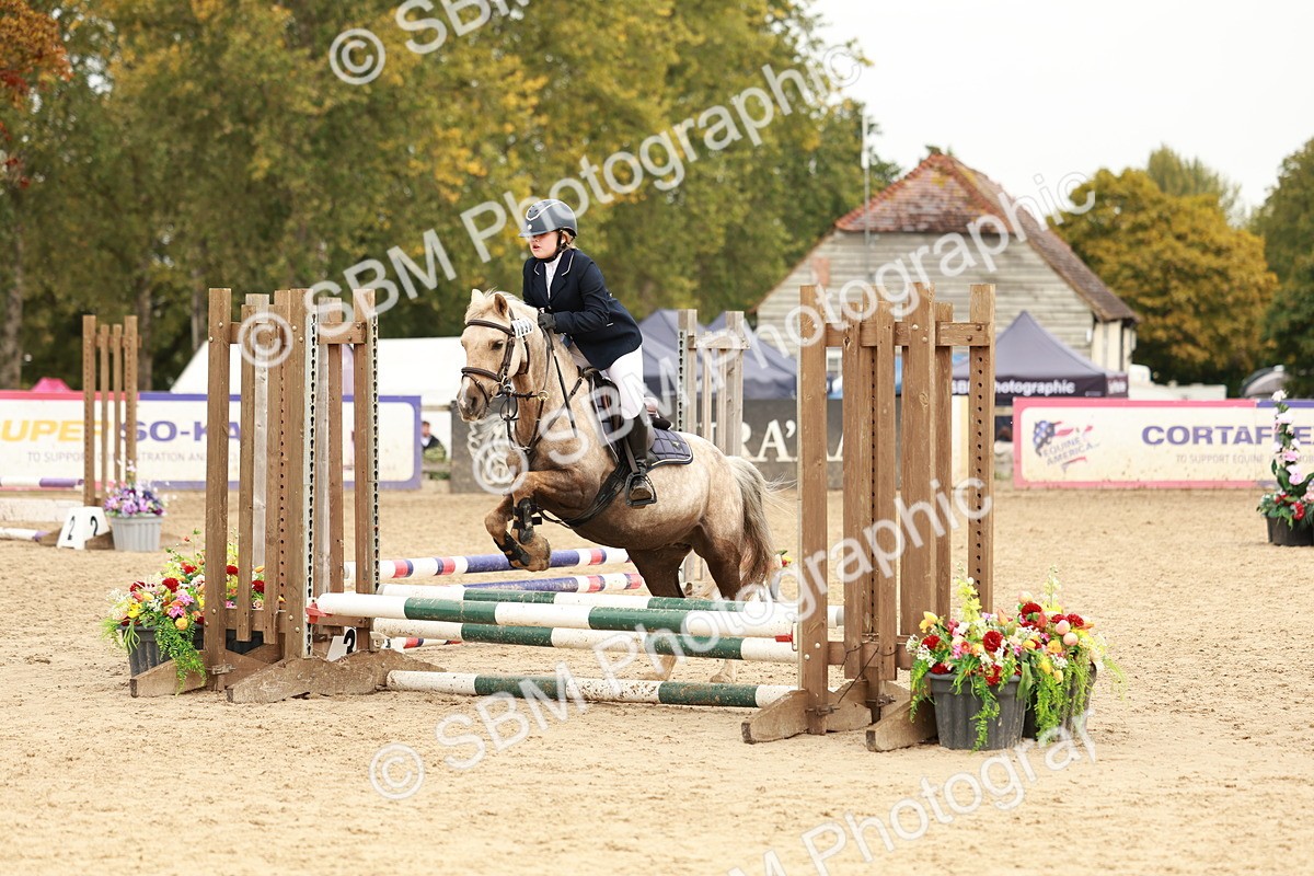 SBM_58006 - J11 - Junior Pony 50cm Championship