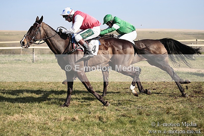 PtP 240218 267 - Vine & Craven Hunt Point-to-Point Barbury racecourse 24/02/18