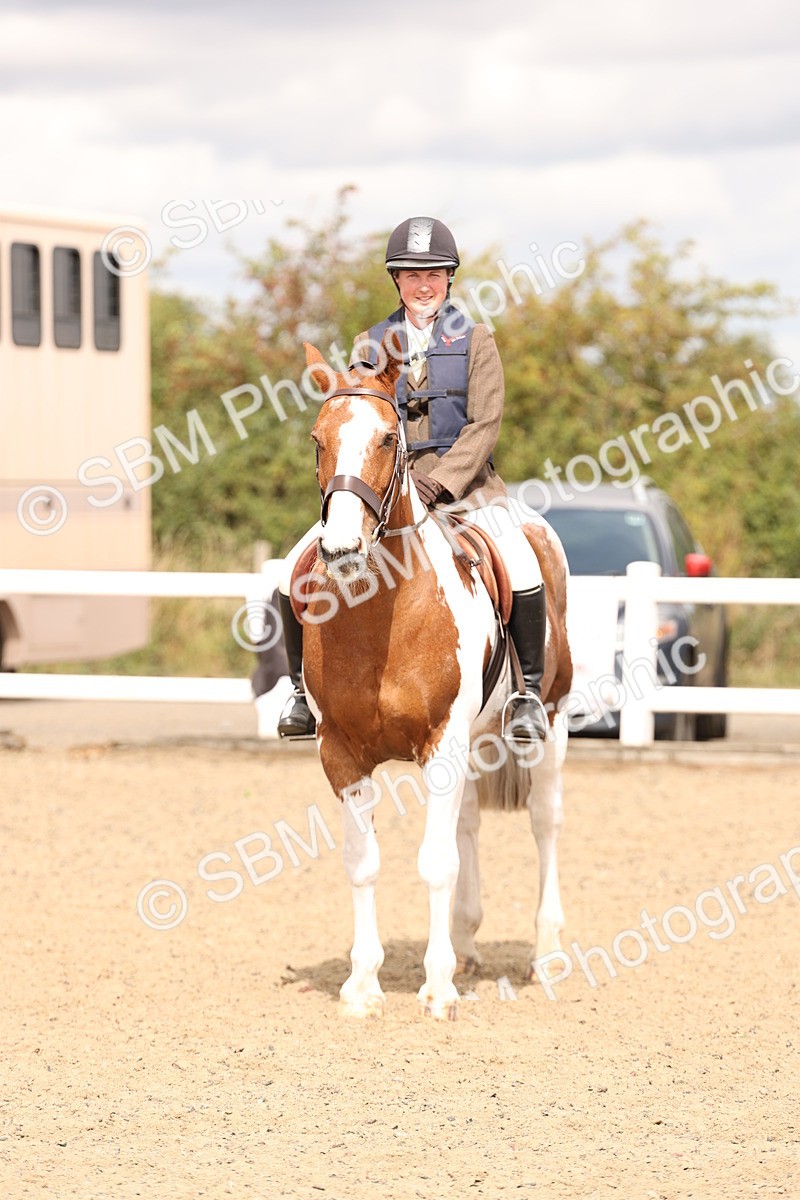 SBM_05169 - Class 56a -  Style & Performance - 50cm (15-19)