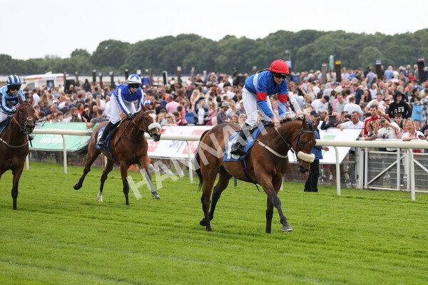 yr11062022r2-85 - Race 2 2.00pm Queen Mother's Cup