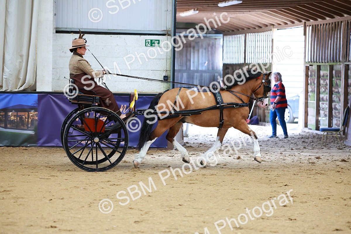 SBM_000163 - Class 3 - Alison Thomas Memorial Lady Whip