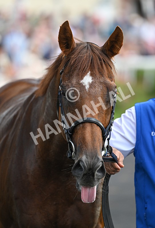 220826-119 Notable Speech - Race 3 15.00pm Sky Bet City Of York Stakes