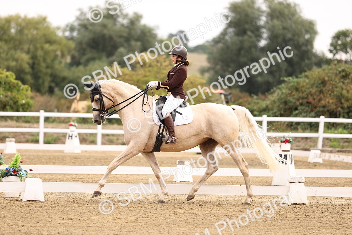 SBM_011515 - Class 1 - Medium 5