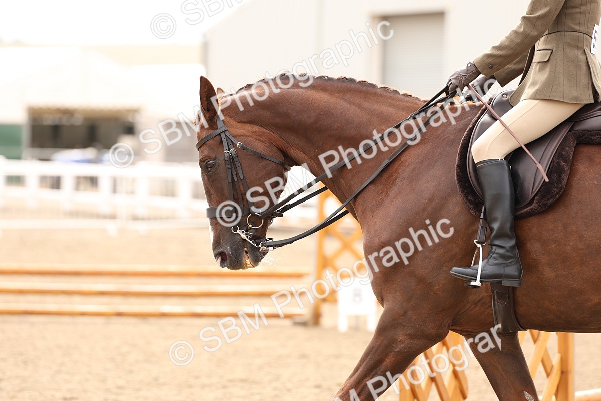 SBM_02845 - Class 53 - Ridden Competition Horse/Pony