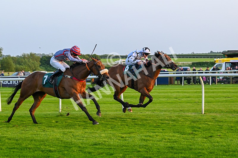 310524-Race 5-Dusk Dame-8945 - Race 5