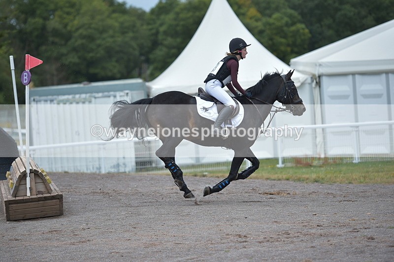 NGP_2016 - XC Time 11:20 to 11:36