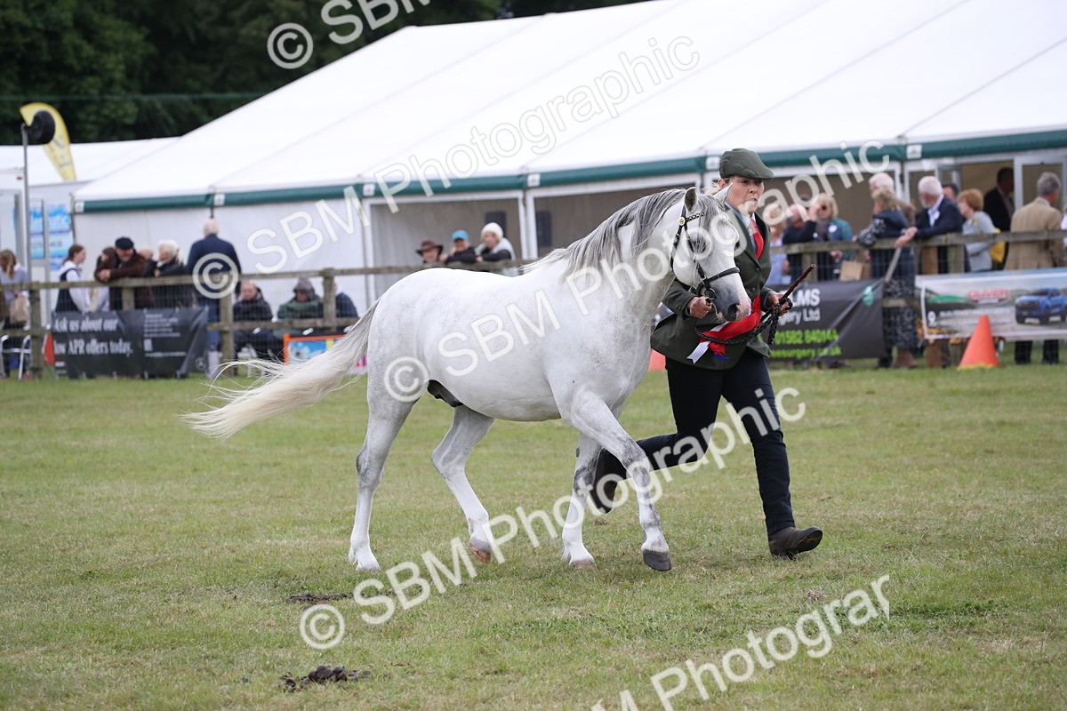 SBM_09863 - Ch 50 - Price Family Supreme In Hand