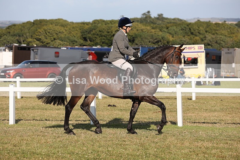 JPP_3271 - Class 21: Working Hunter 80cm