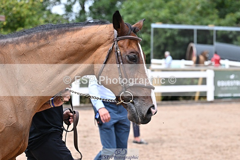 250716-130356-00298 - Trot Up 12.30 to 1.30
