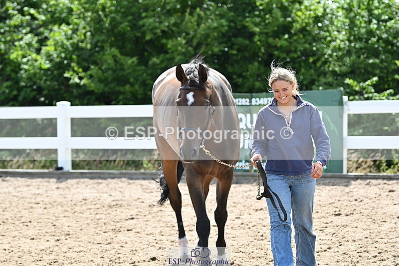 240717A-152637-02826 - Trot Up 3pm to 4pm