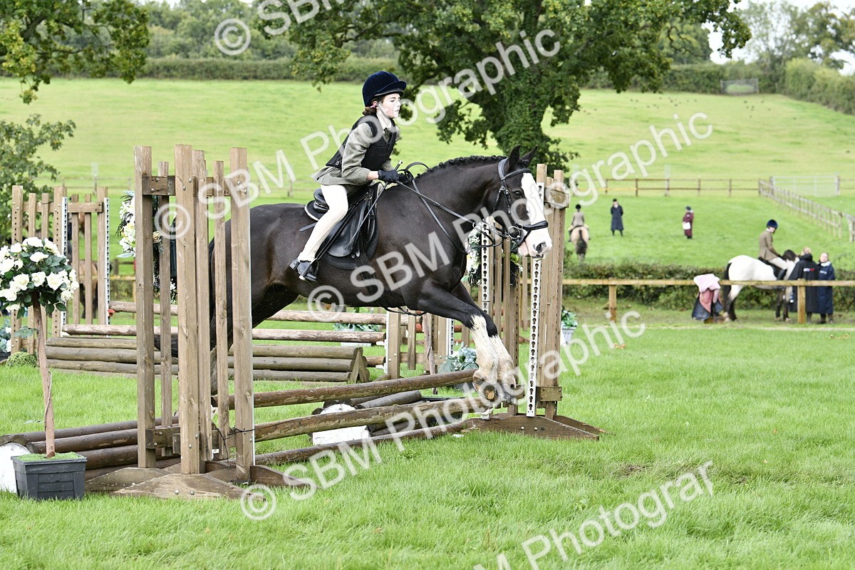 SBM_41498 - S32 - Mountain & Moorland Working Hunter Pony