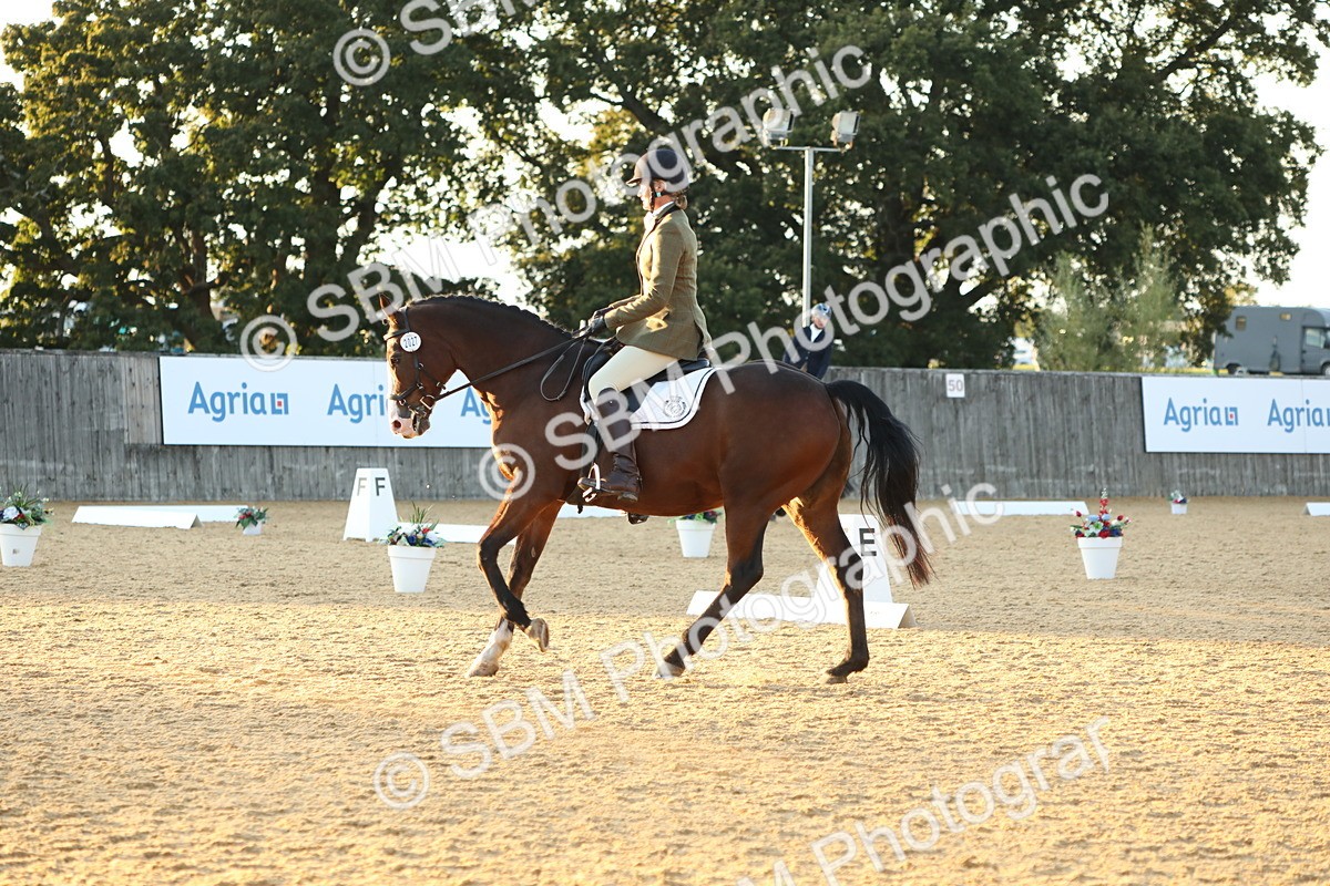 SBM_31156 - D20 - Grand Tour Championship - Elementary 44