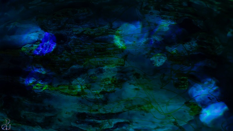 Abstract photography by Diana Uzun