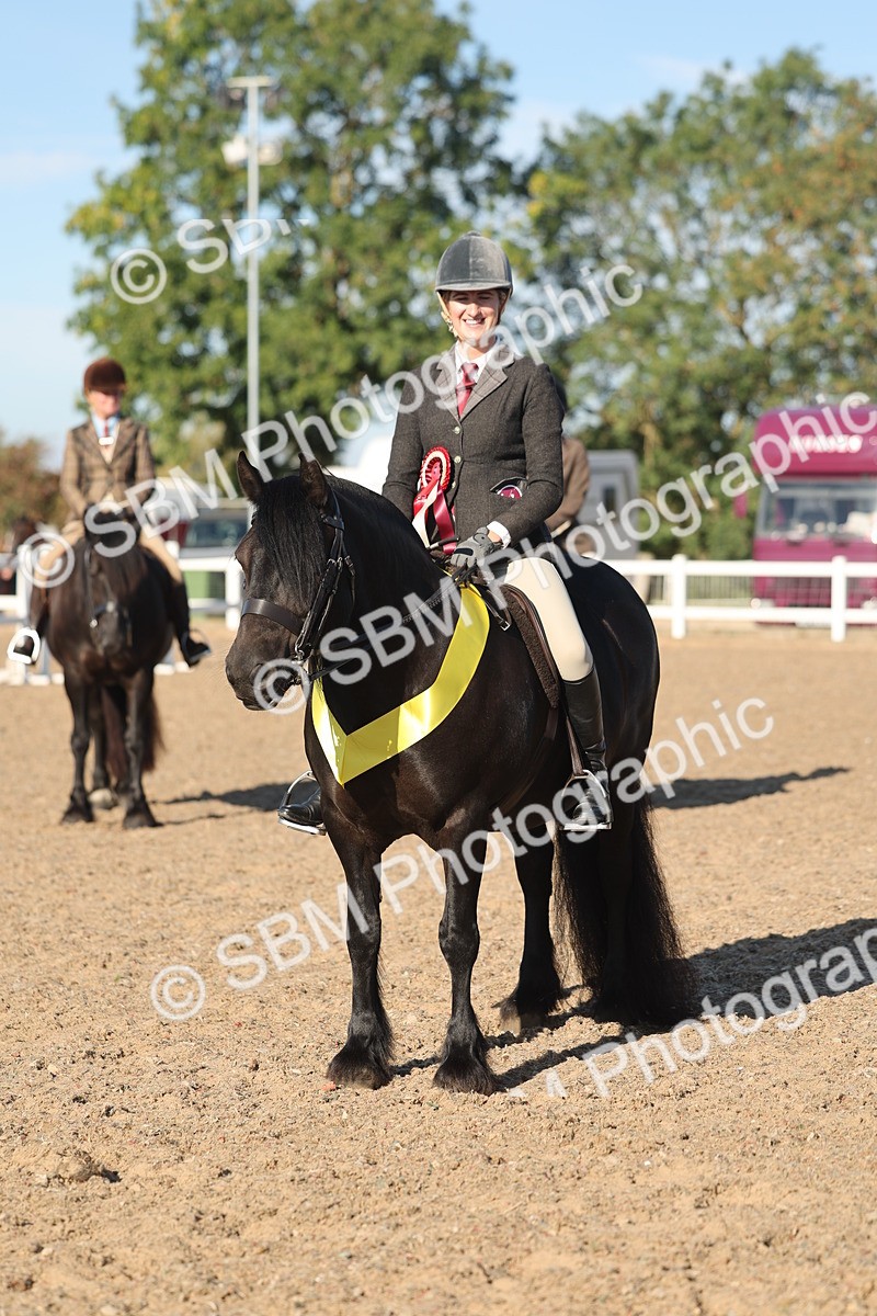 SBM_11116 - Class 302 - Ridden M&M Large Breeds
