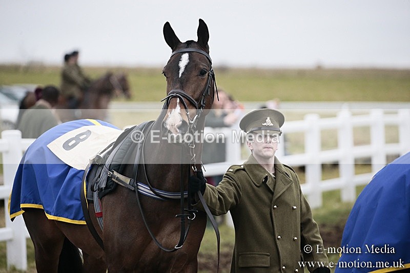 PtP 180218 29 - Combined Services Point-to-Point Larkhill 18/02/18