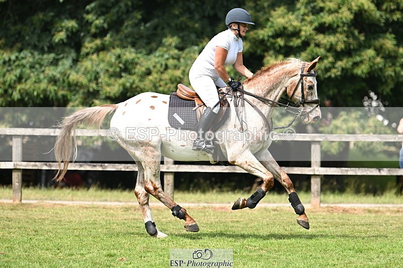 250704A-111830-07221 - Cls 25 Snr British Novice and 90cm