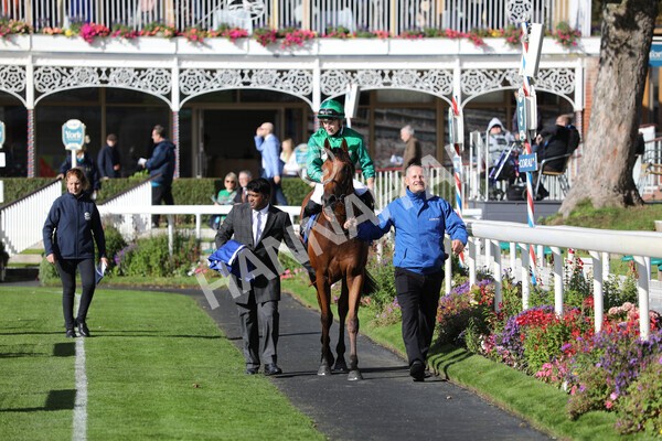 yr08102022r2-40 - Race 2 2.05pm The Coral Rockingham Stakes