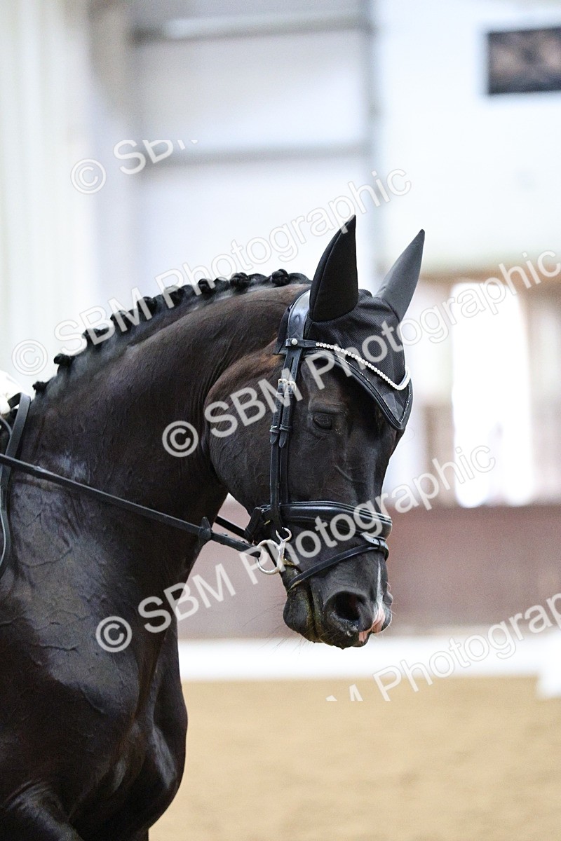 SBM_001208 - Class 5 - Novice 6