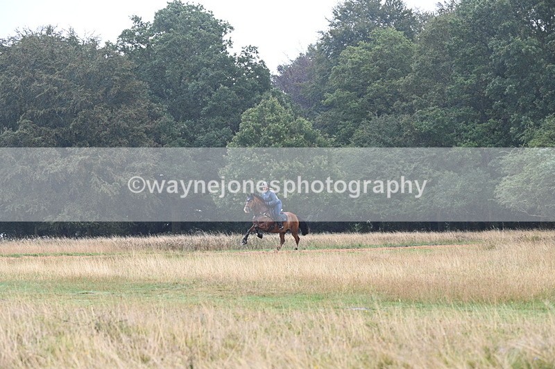 DSC_1017 - Time at Statue 10:58 to 11:53