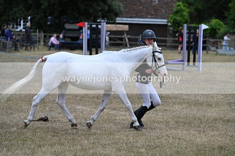 WJ7_8303 - Class 4 Prettiest Mare up to 14.2hh