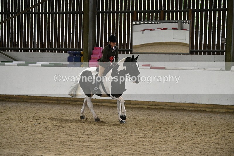 WJ7_3732 - Class 16 Ridden Coloured/ Odd Coloured