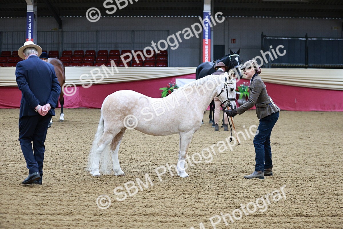 SBM_00208 - Class 1A - Area IH Diamond