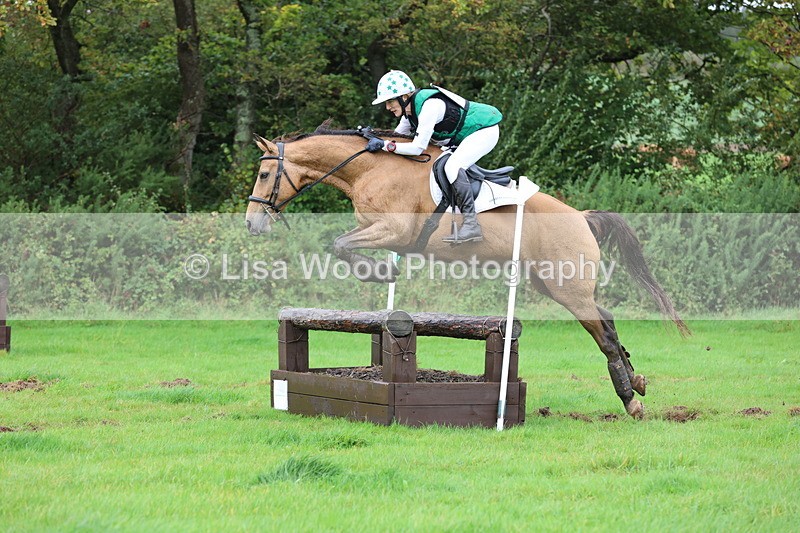 JPP_5462 - Class 5: 90cm Crossed Logs